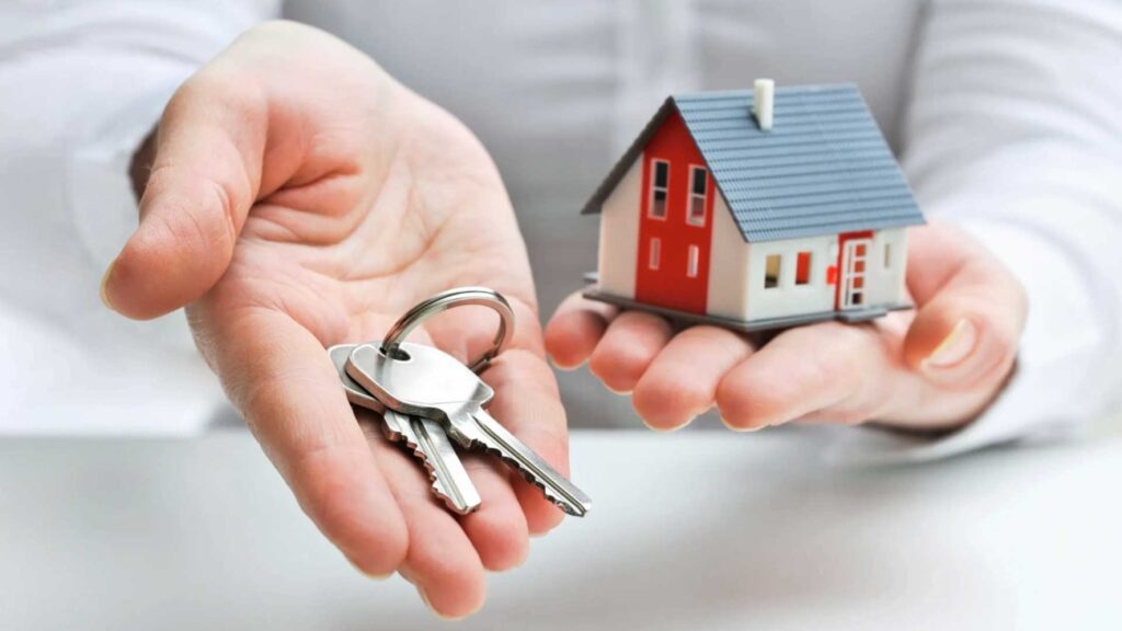 buyers agent clovelly