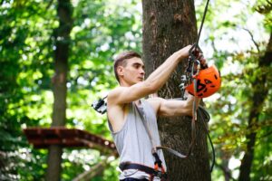 Tree Pruning Cost