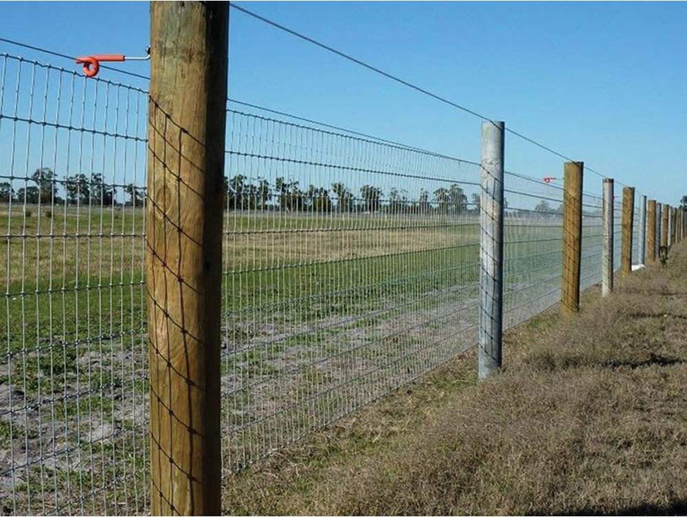 mesh fencing