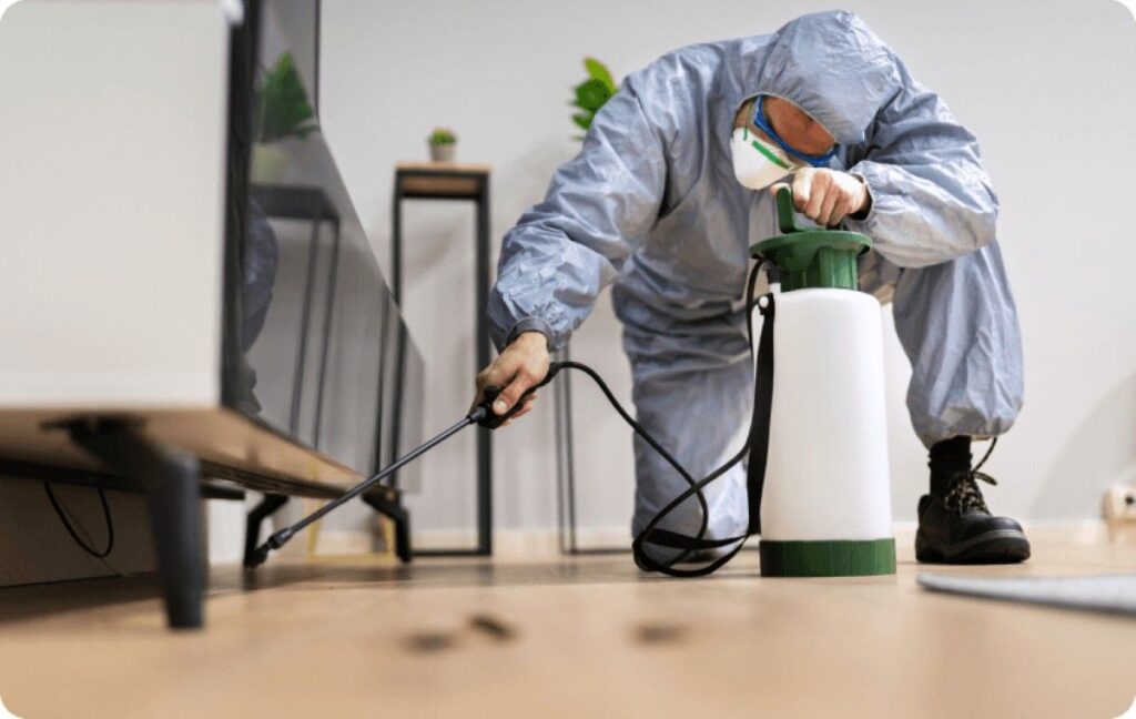 pest control termite treatment