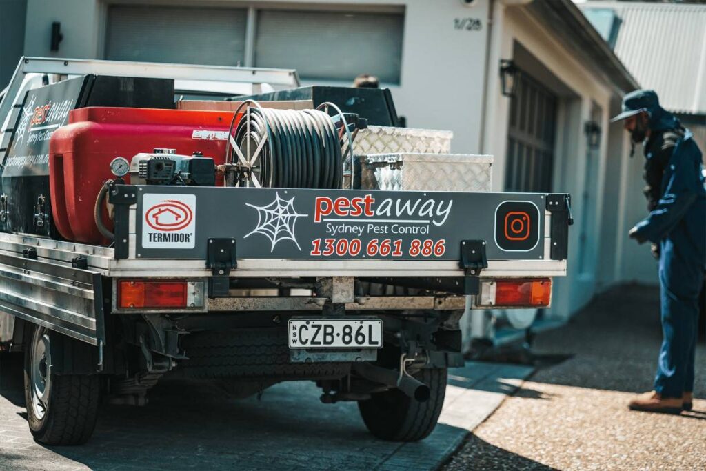 pest control termite treatment