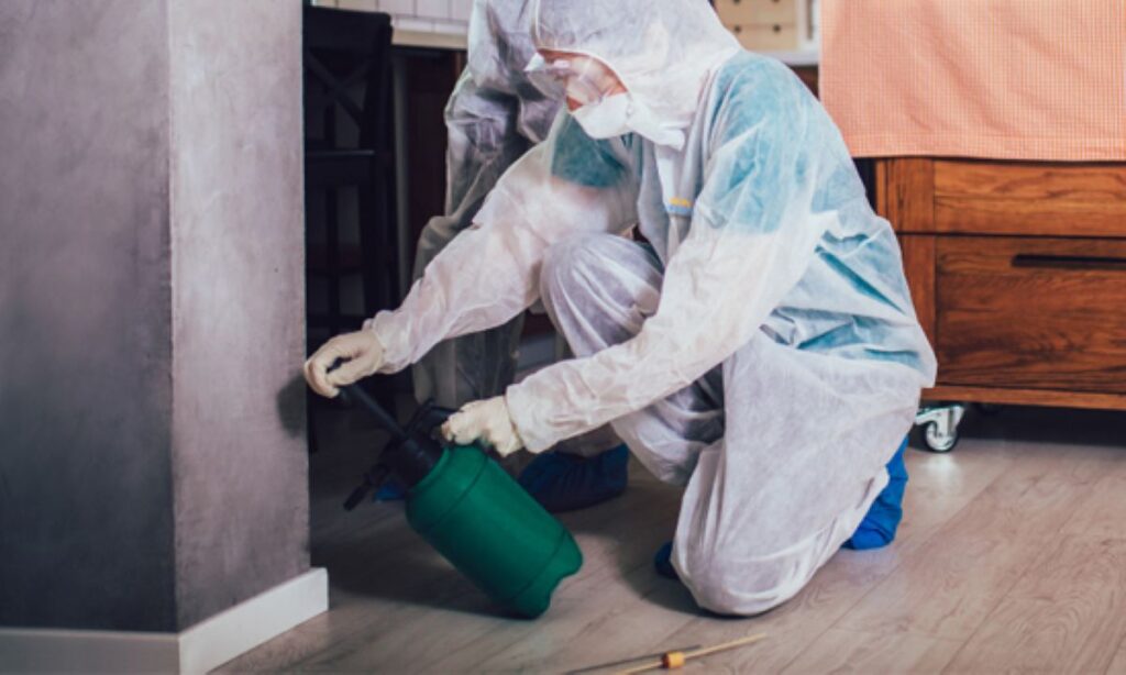 sydney pest control services